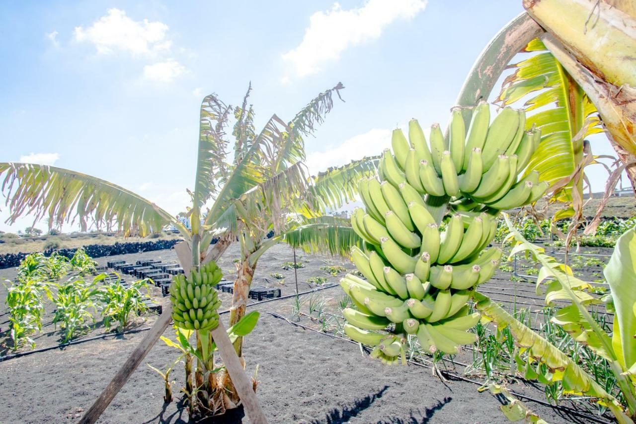 Casa Los Veroles Lanzarote El Islote ภายนอก รูปภาพ